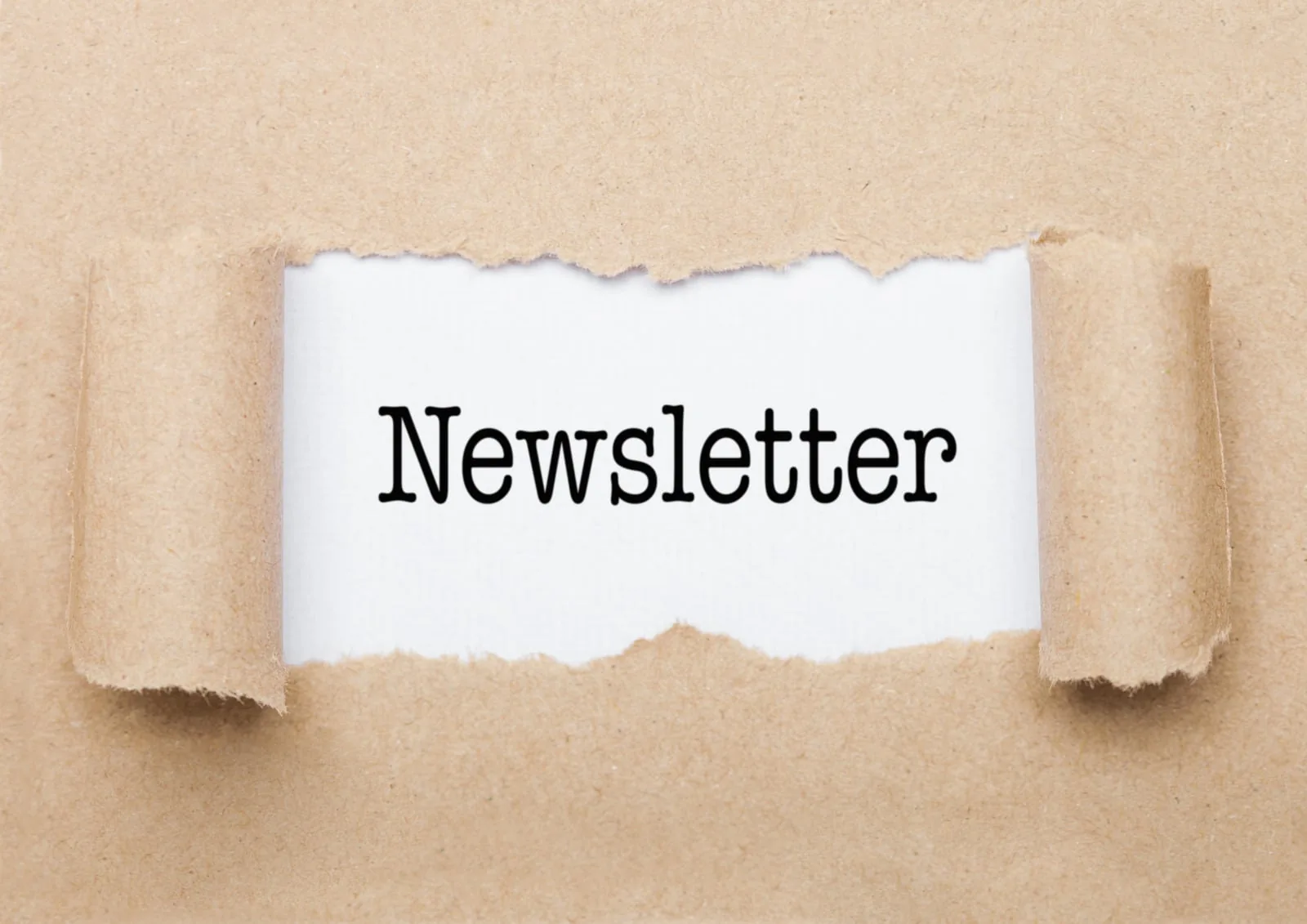 Newsletter della Scuola